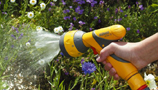 Irrigation (60)